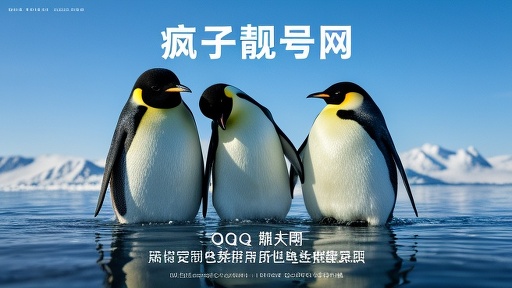 QQ号码估价、回收及收购全知道：QQ号码去哪儿？